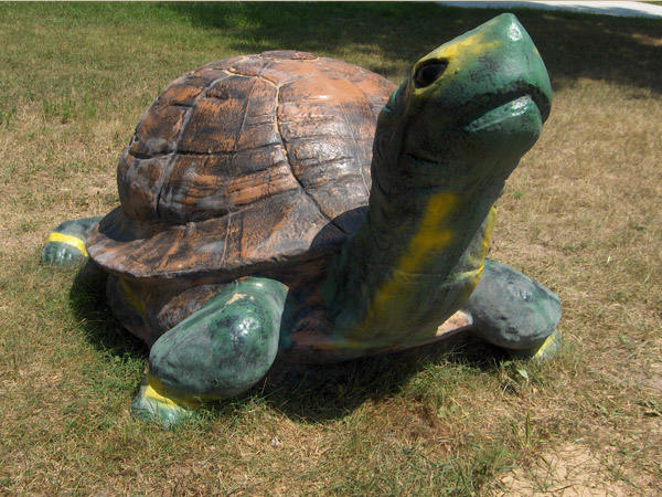 giant_turtle