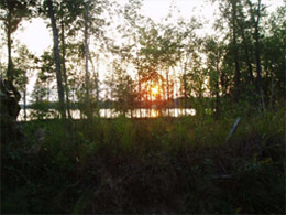 Sunset