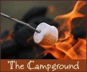 The Campground